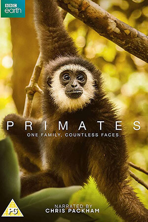 Các Loài Linh Trưởng (Thuyết Minh) - Primates
